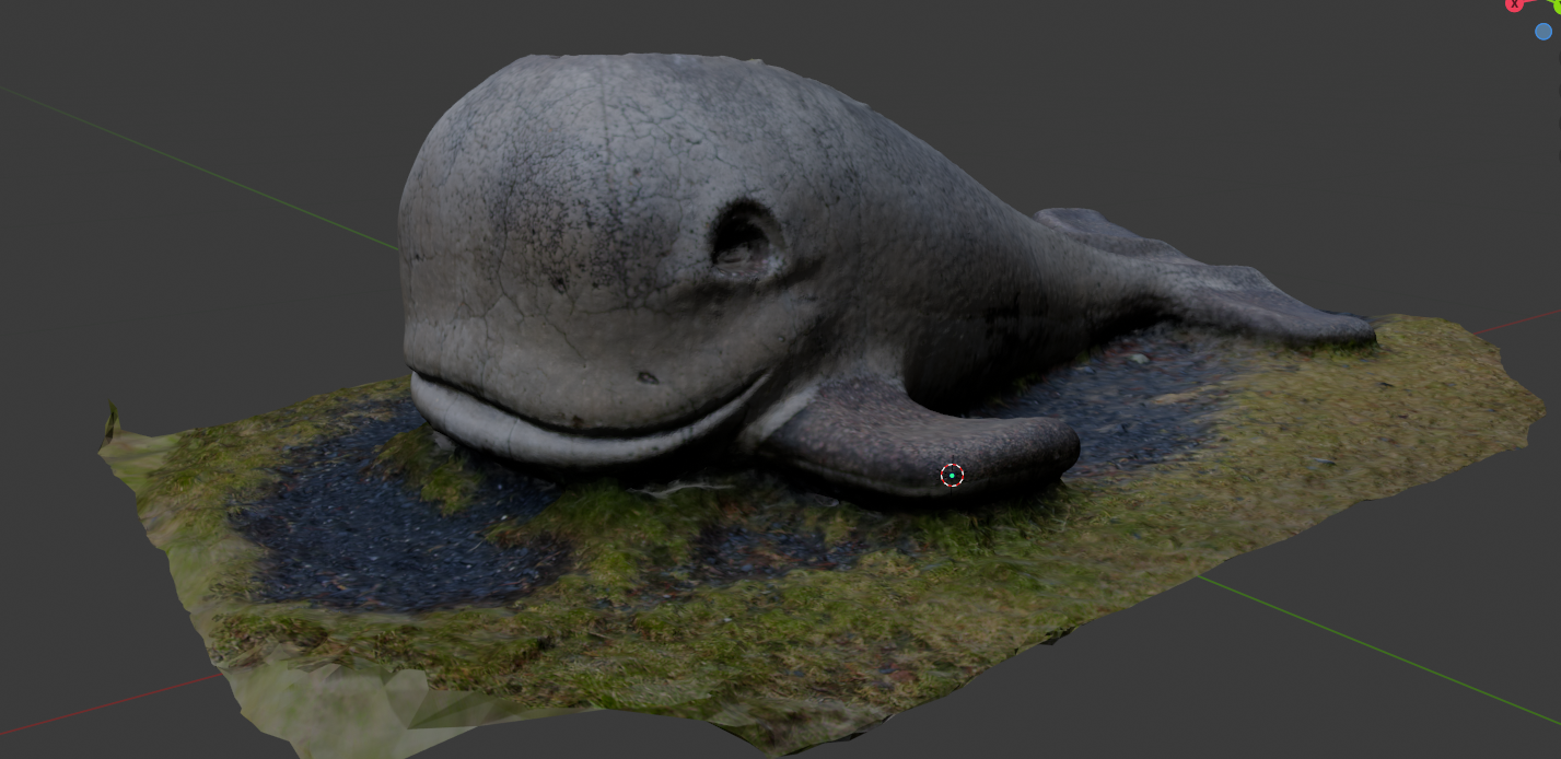 Whale 3D Model